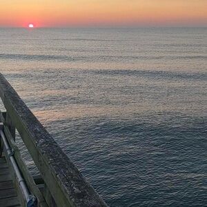 coconut girl, sun bunny, wayamaya, beach bum, key west kitten vibe bundle